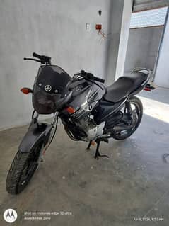 Yamaha YBR2016 0