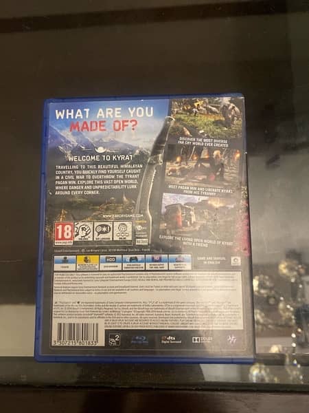 Far cry 4 for ps4 2