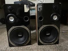 12 inch Woofers with Japanese Amplifier