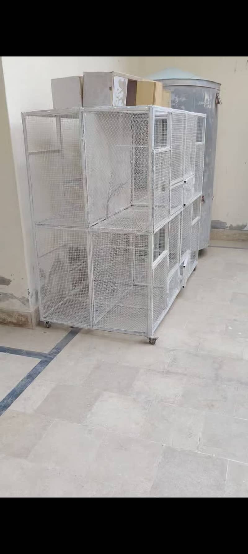 Parrot Cage 4