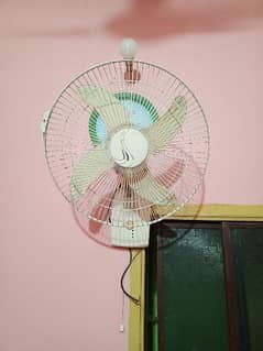 12 volt Fan