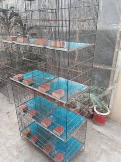 Breeding Cages for sale