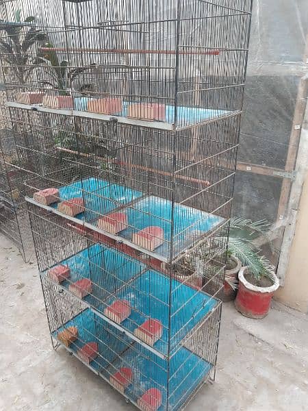 Breeding Cages for sale 0