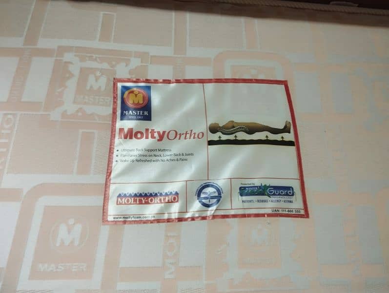 MoltyFoam ortho 6.7×3.7 3