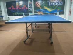 Ping Pong Table / Table tennis Table