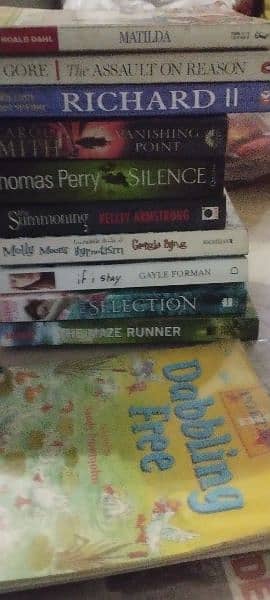 Novels and story books in best condition 0