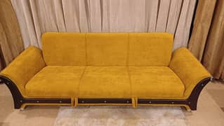 Sofa cum bed (New poshish)