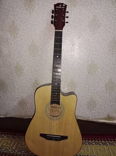 Acoustic Beginner Guitar