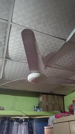 ceiling fan