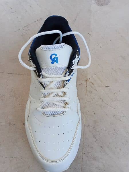 CA cricket Shoes 11