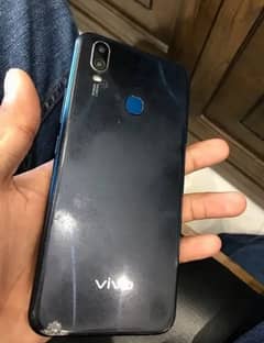 Vivo