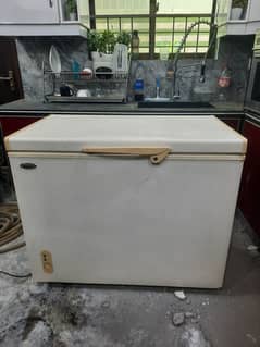 Waves 10 cubic feet freezer