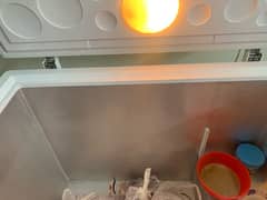 HAIER NEW FREEZER