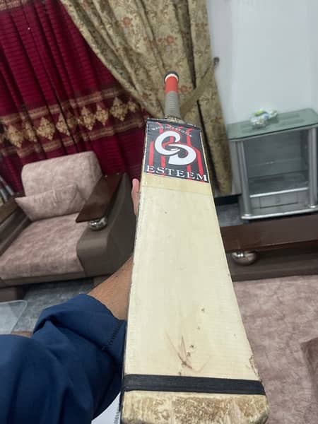 CD Tapeball Cricket Bat 3