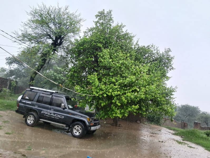 Toyota Prado 1992 14