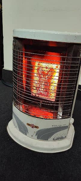 Nasgas Heater for Sale 1