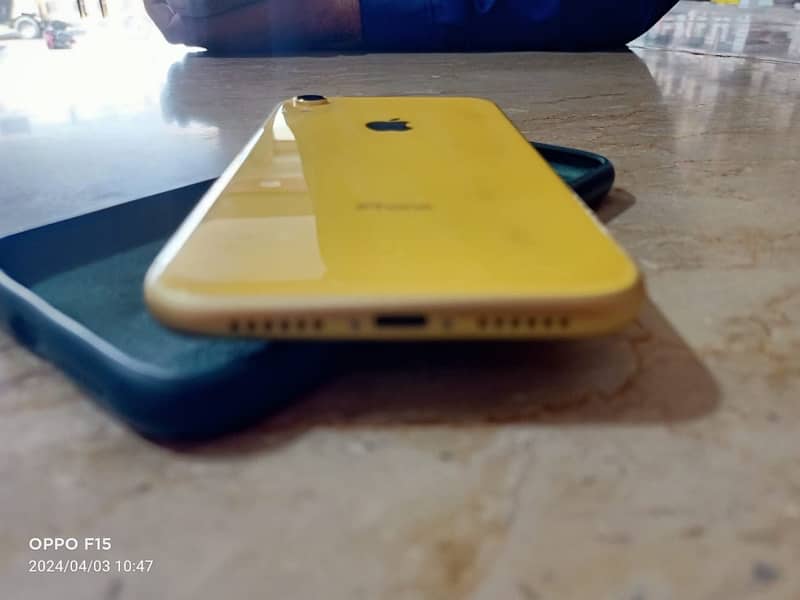 iphone XR waterpak 1