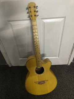 Professional Acoustic Guitar