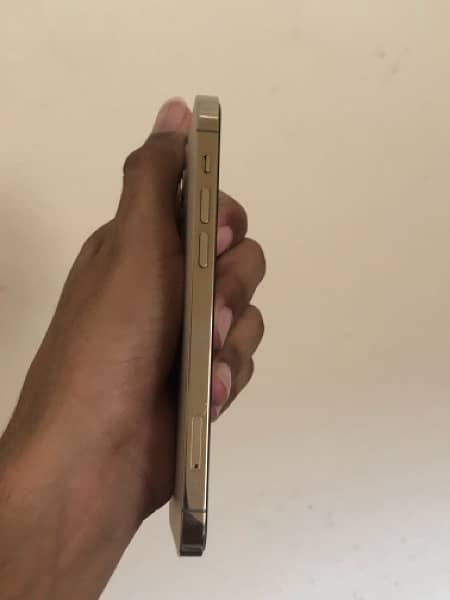 iPhone 12 Pro  256gb 2