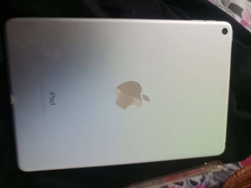 ipad mini 5 6