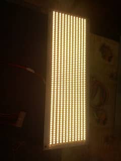 LED warm bridal lights