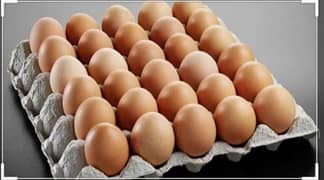 Desi & Formi eggs wholesale delar available 0