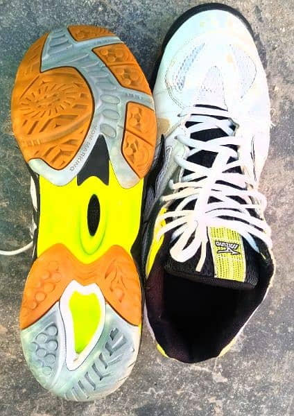 9 inch Mizuno |Sports Shoes | Badminton | Squash | Tennis|Basketball 2