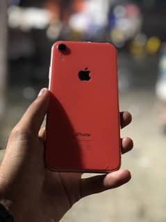 iPhone XR