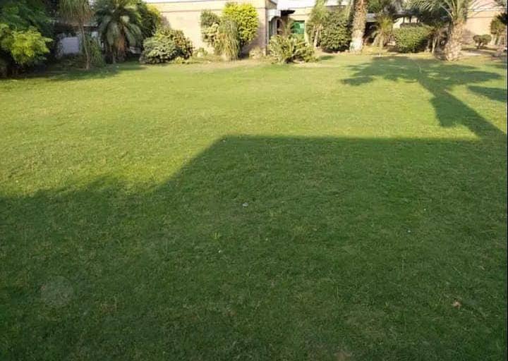 10 Kanal Bungalow For Rent Canal Road Near Kashmir Pul Faisalabad 5