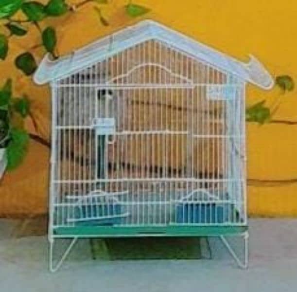 Australian Parrots Adult Pair With Cage 6