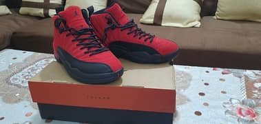 Air jordan12 versity red size 41