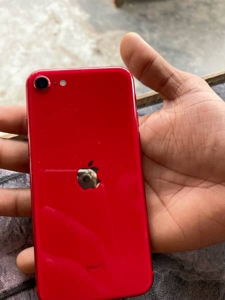 iphone SE 2020 /64 gb Nonpta colur red 1