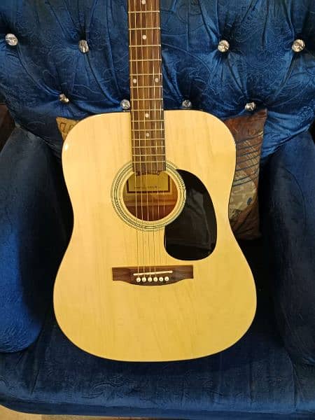 paramount acoustic guitar with bag & capo 4