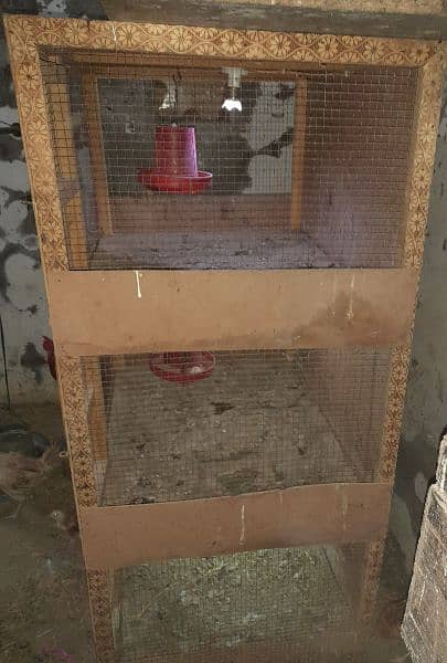 Bird cage for sale 1