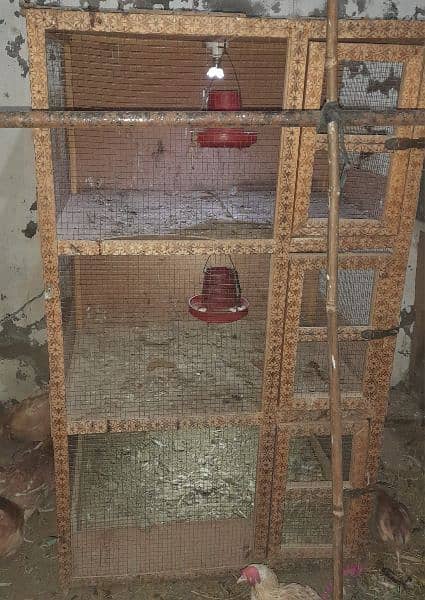 Bird cage for sale 2