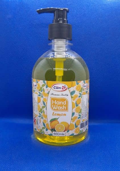 Hand Wash Liquid 480ml 2