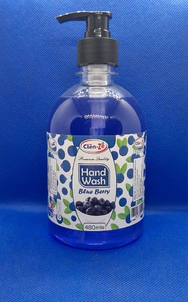 Hand Wash Liquid 480ml 5