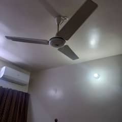 ceiling fans