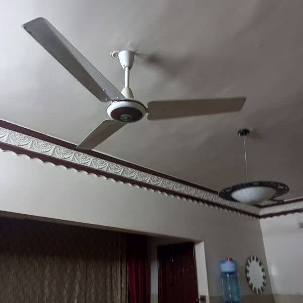 ceiling fans 1