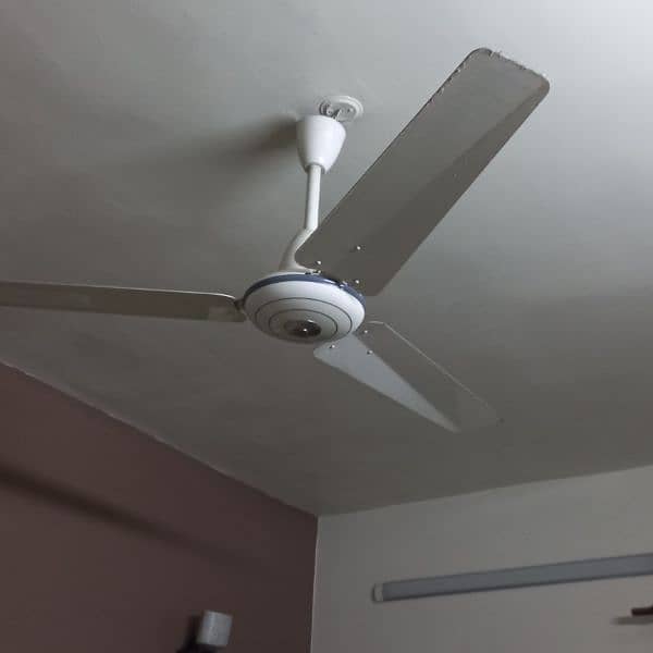 ceiling fans 3