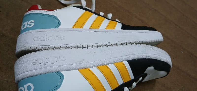 Adidas Original Hoops Sneakers 3