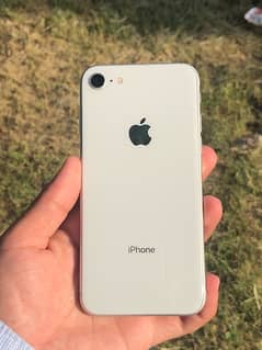 iphone 8 pta approved 64gb