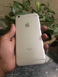 iPhone 6s Plus pta approved