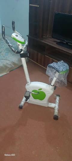 Exercise Cycle Amost New