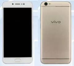 vivo