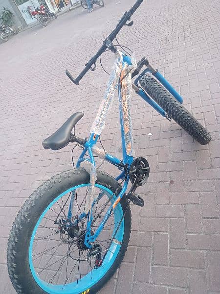 fat bike 5