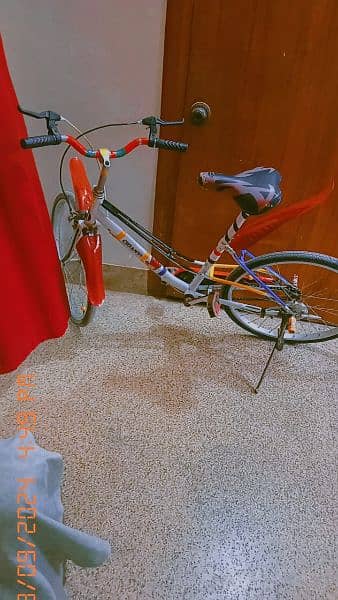 Chianti Cycle, Made in Italy, In Good Condition, no work required 7