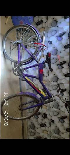 fonex cycle quality is soo best. . . contact number= 03149027359 0