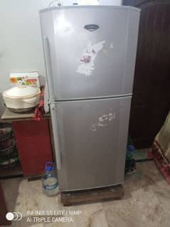 haier refrigrator