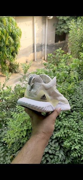 Adidas Alpha Bounce 2